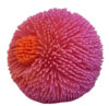 Spiky Squish Balls Pack