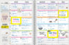 Everyone Is Welcome Lesson Planner