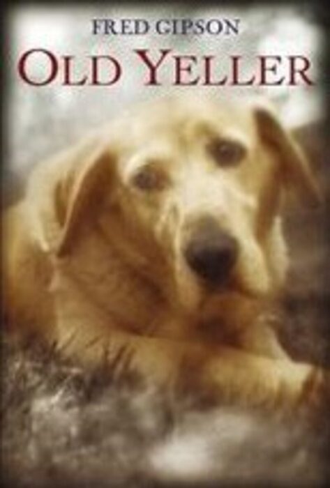 Old Yeller By Fred Gipson Paperback Book The Parent Store