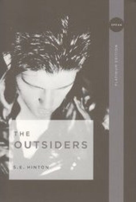 The Outsiders by S. E. Hinton - Paperback Book - The ...