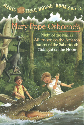 #5 Magic Tree House- Night of the Ninjas Novel Study