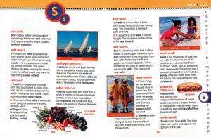 Scholastic First Dictionary - Revised by Judith S. Levey