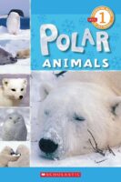 Scholastic Reader Level 1: Polar Animals