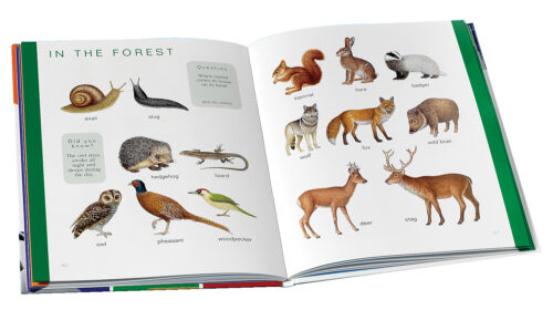 Scholastic First Picture Dictionary - Revised by Scholastic