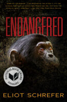 Ape Quartet #1: Endangered