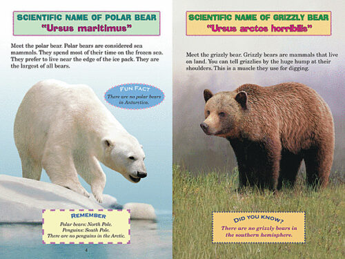 Polar Bear Vs Grizzly Bear Size Comparison