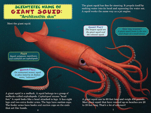 Who Would Win?: Whale vs. Giant Squid by Jerry Pallotta | The