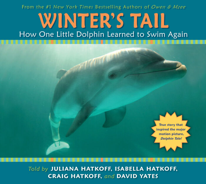 Winter S Tail How One Little Dolphin Learned To Swim Again By
