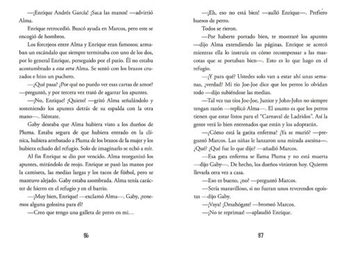 Gaby, Lost and Found / Gaby, perdida y encontrada (Spanish)