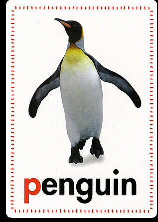 Scholastic Early Learners: Flashcards: ABC by Scholastic | The Scholastic  Parent Store