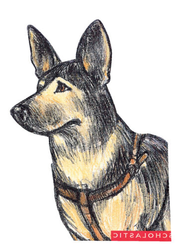 Buddy the First Seeing Eye Dog by Eva Moore The Scholastic