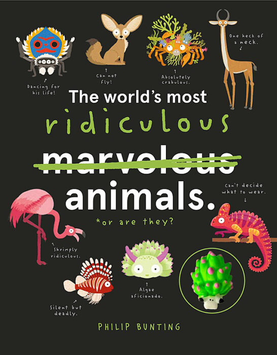 The World's Most Ridiculous Animals with Squishy by Philip Bunting