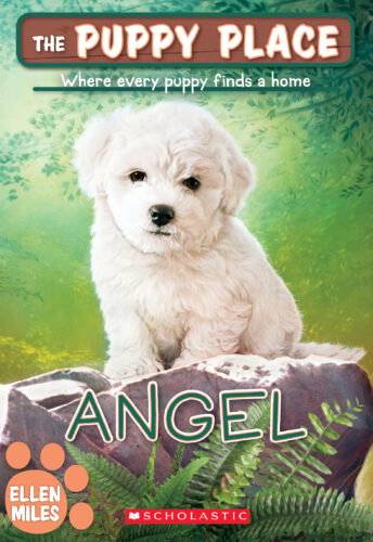 The Puppy Place #46: Angel by Ellen Miles | The Scholastic Parent
