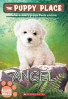 The Puppy Place #46: Angel