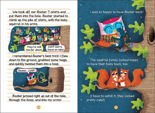 Owl Diaries #8: Eva and the Lost Pony