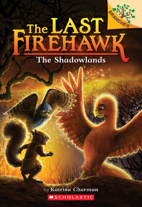 The Last Firehawk #5: The Shadowlands