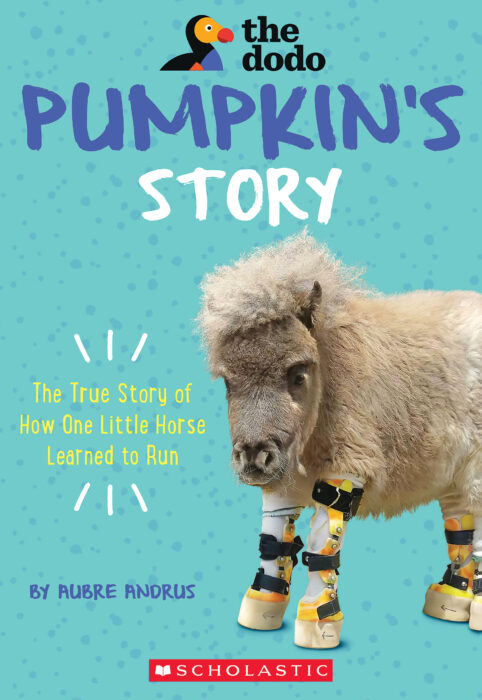 The Dodo Pumpkin S Story By Aubre Andrus Paperback Book The Parent Store
