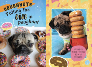 Doug the hotsell pug food