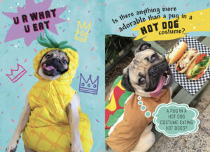 Doug the Pug Food for Thought by Leslie Mosier Megan Faulkner