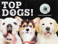 Top Dogs! (with necklace!)
