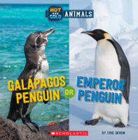 Galapagos Penguin or Emperor Penguin