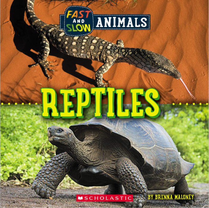 Fast and Slow: Reptiles by Brenna Maloney