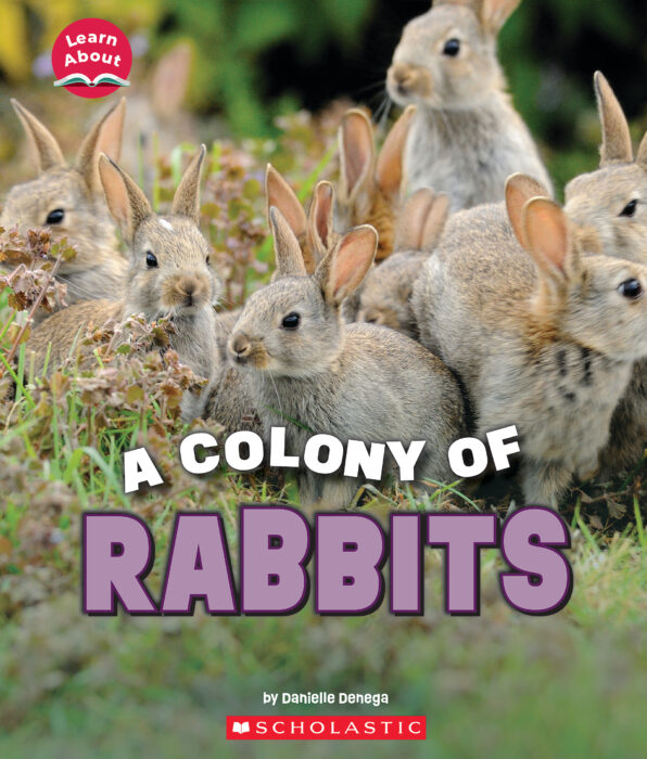 Learn About: A Colony of Rabbits by Danielle Denega The