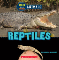 Big and Small: Reptiles