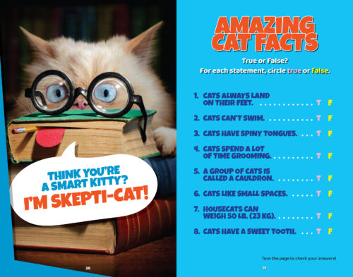 Here, Kitty, Kitty… 20+ Cat Books for Kids