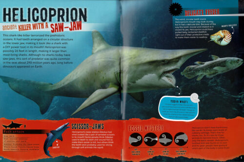 Sharks Rule! (with tooth!)