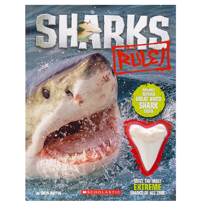 Sharks Rule! (with tooth!) by Colin Barras