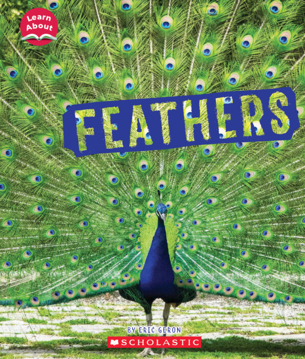 Learn About: Animal Coverings: Feathers by Eric Geron