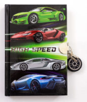 Diary: Car High Speed