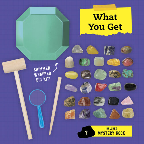 STEAM Lab Ultimate Gemstone and Dig Kit [Book]