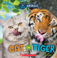 Wild World: Cat or Tiger
