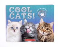 Cool Cats! (with cat face necklace!)