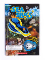 Sea Slugs w/Squishy