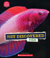 Learn About: Animals: Just Discovered Fish