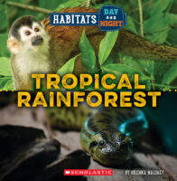 Wild World: Tropical Rainforest