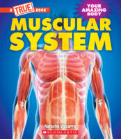 A True Book: Muscular System