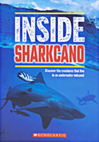 Inside Sharkcano Activity Kit