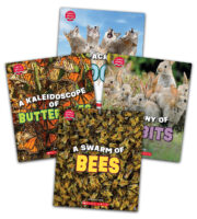Learn About Animals Value Pack