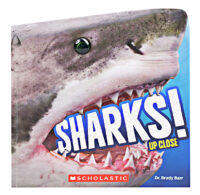 Sharks! Up Close