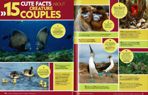 National Geographic: 5000 Awesome Facts About Animals by National  Geographic Kids