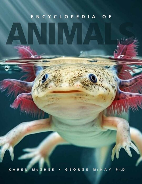 Encyclopedia of Animals by Karen McGhee, George McKay | The