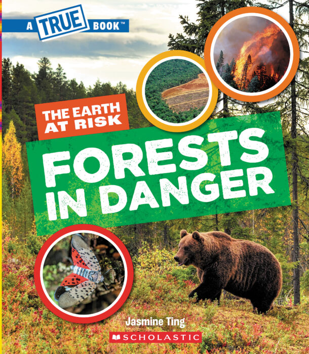 A True Book: The Earth at Risk: Forests in Danger by Jasmine Ting