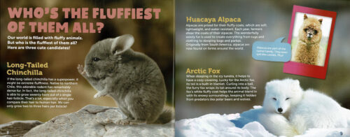 Cutest Animals of All Time! (with Axolotl squishy!)