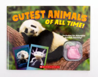 Cutest Animals of All Time! (with Axolotl squishy!)