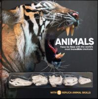 Animals (with mini animal skulls!)
