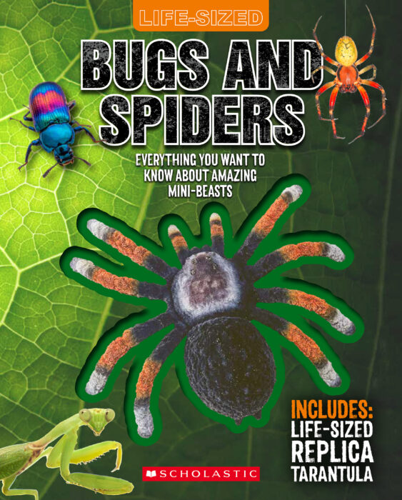 Life-Sized Bugs and Spiders (with replica tarantula!)